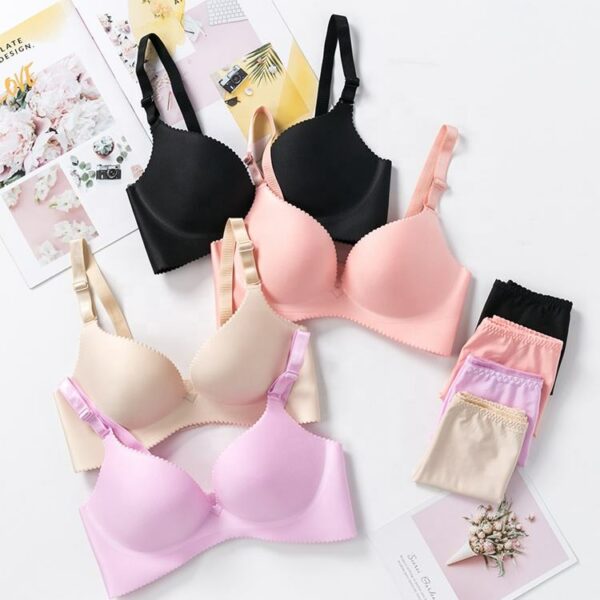 Sexy new nylon spandex bra and pant sets for women Elegant Bra & Short Sets/interior conjuntoa ropa - Image 2