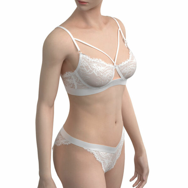 Women's Underwire Bra & Brief Sets with Transparent, Seductive Embroidery - Image 2