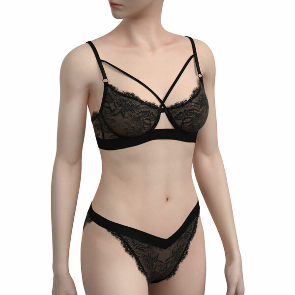 Women's Underwire Bra & Brief Sets with Transparent, Seductive Embroidery