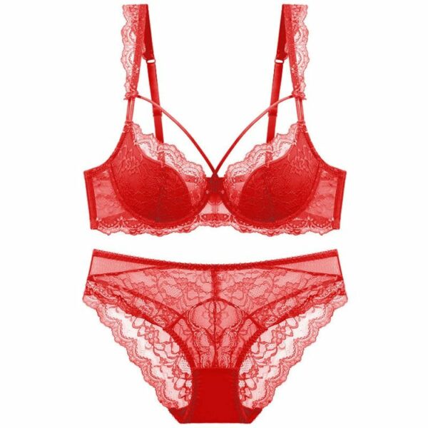 Transparent Push-up panties and bra sets are in high demand for women's bra brief sets. Luxurious and cozy lace bra and brief sets