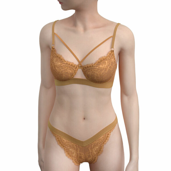 Women's Underwire Bra & Brief Sets with Transparent, Seductive Embroidery - Image 4