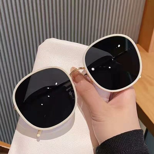 Fresh Hot Deal Superb Oversized Round Acetate Frame Sunglasses with Fashion Men's and Women's Visor Sunglasses at Wholesale Prices