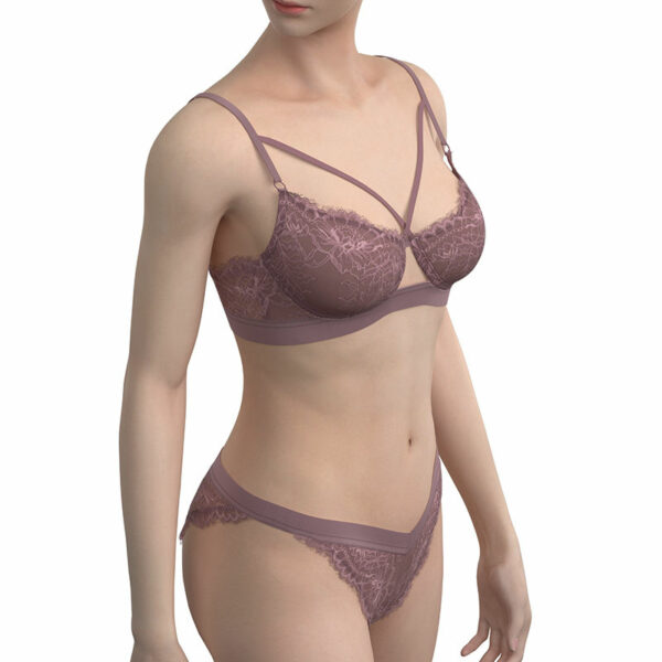 Women's Underwire Bra & Brief Sets with Transparent, Seductive Embroidery - Image 5