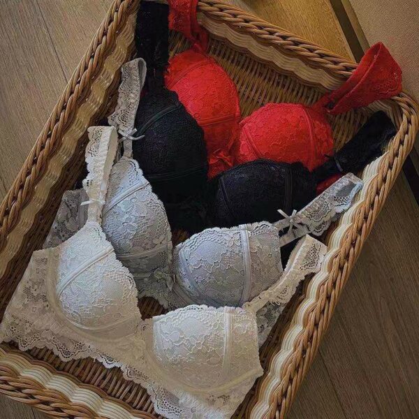 Elegant lace wireless bra and panties pair with a new flower embroidered design Women's sexy bra and brief sets bra set - Image 5