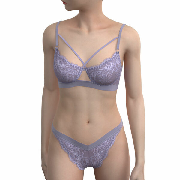 Women's Underwire Bra & Brief Sets with Transparent, Seductive Embroidery - Image 6